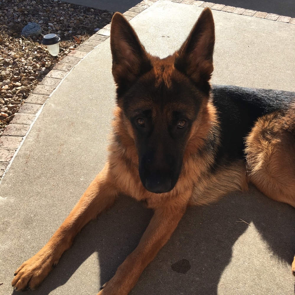 Meet your Posher, Kim